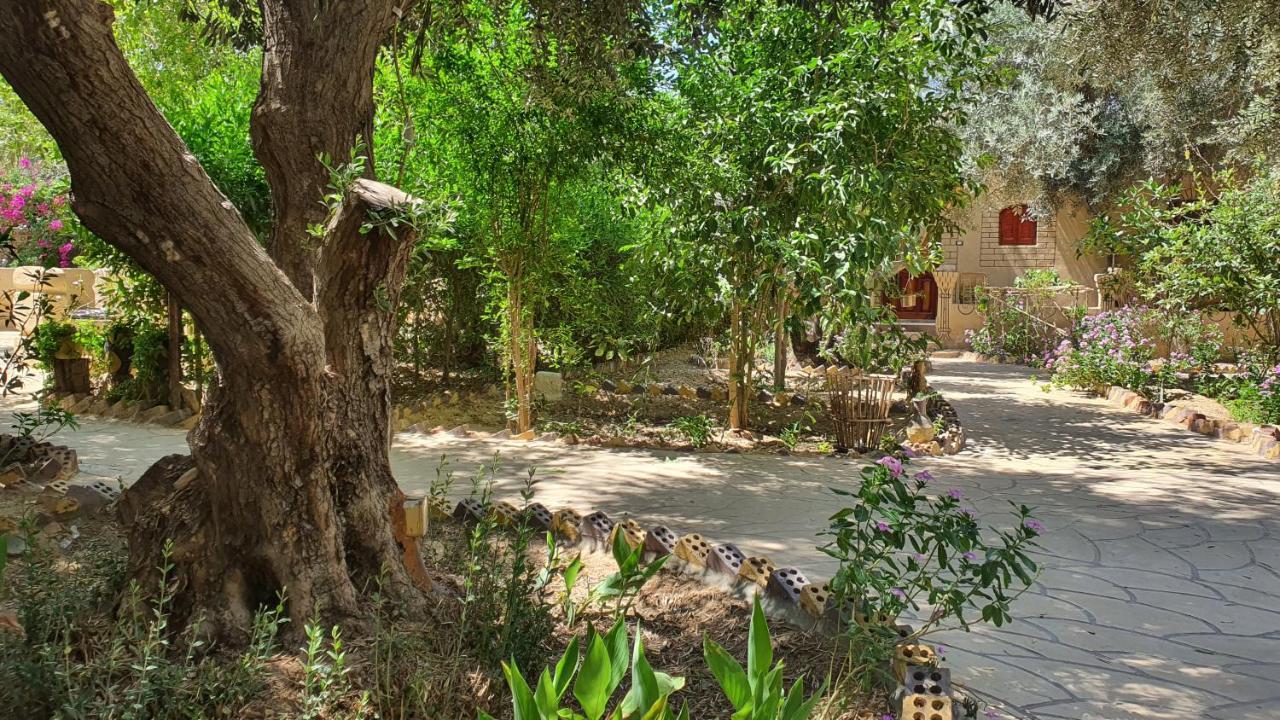 Mountain Camp Ali Khaled Hotell Siwa Oasis Exteriör bild